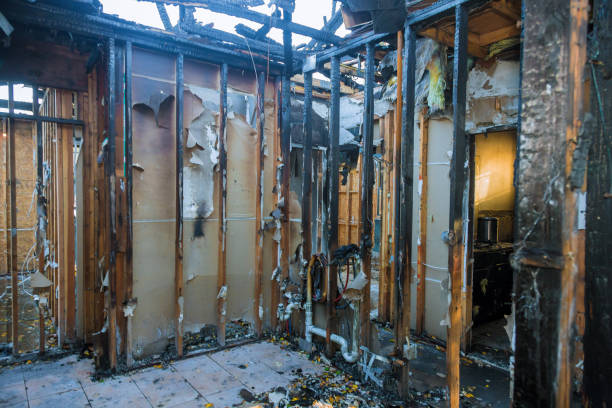 Professional Fire Damage Removal technician working in Carversville, PA