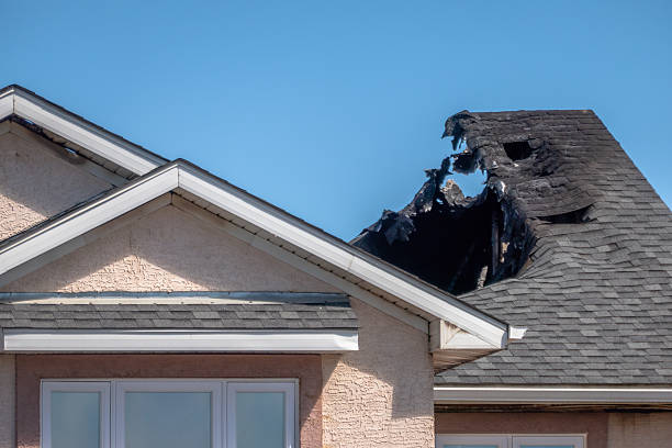 Top rated local Fire Damage Removal specialists in Carversville, PA